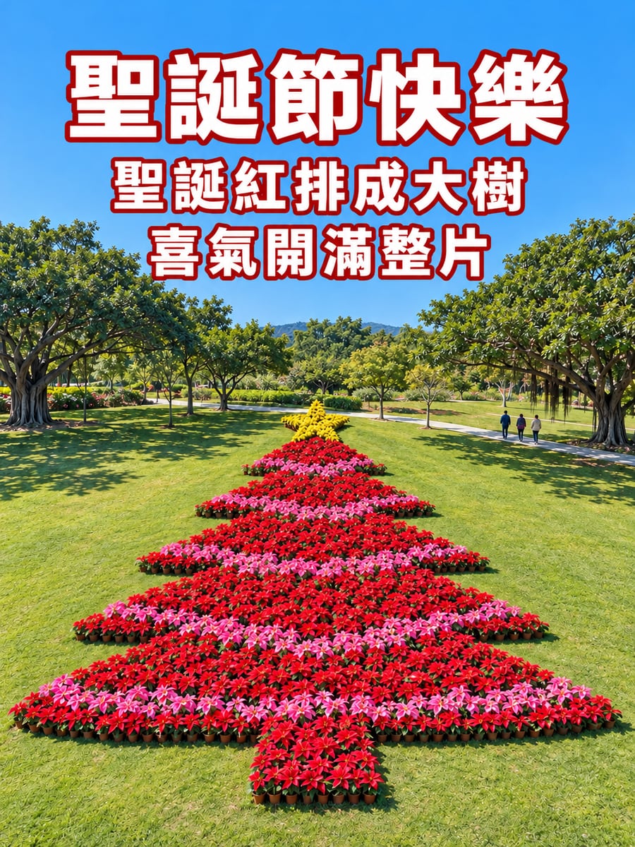 聖誕紅排成的大聖誕樹。圖中文字：聖誕節快樂，聖誕紅排成大樹，喜氣開滿整片