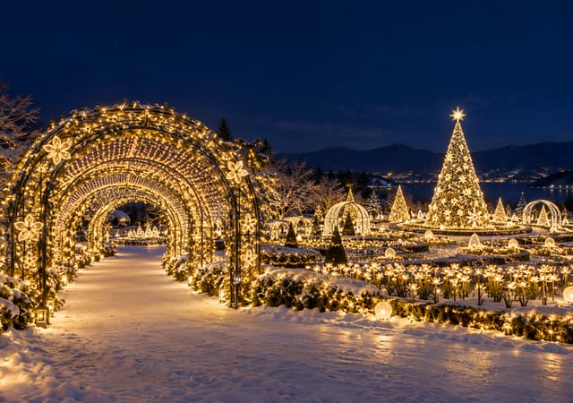 光のトンネルとクリスマスのイルミネーション庭園（iPhone Duo の内側の画面用壁紙、文字なし）