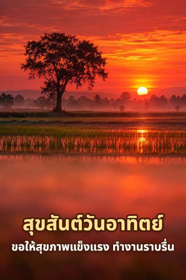 สุขสันต์วันอาทิตย์ ขอให้สุขภาพแข็งแรง ทำงานราบรื่น – พระอาทิตย์ขึ้นสีแดงส้มเหนือทุ่งนากับต้นไม้โดดเดี่ยว