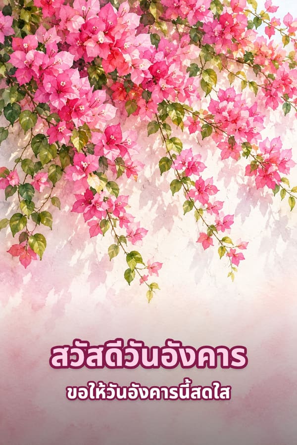 สวัสดีวันอังคาร ขอให้วันอังคารนี้สดใส – ดอกเฟื่องฟ้าสีชมพูห้อยระย้าบนกำแพงสีขาวแบบภาพสีน้ำ