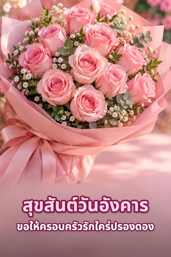 สุขสันต์วันอังคาร ขอให้ครอบครัวรักใคร่ปรองดอง – ช่อกุหลาบสีชมพูห่อกระดาษผูกโบสีชมพู