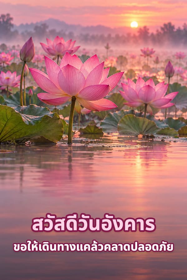 สวัสดีวันอังคาร ขอให้เดินทางแคล้วคลาดปลอดภัย – สระบัวสีชมพูยามรุ่งอรุณมีหมอกบางบนผิวน้ำ