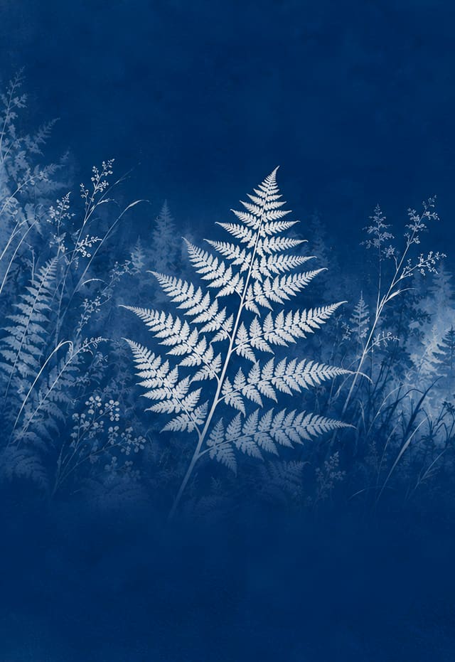 Bosque de helechos en cianotipia, fondo de pantalla iPhone Duo para la pantalla exterior, sin texto