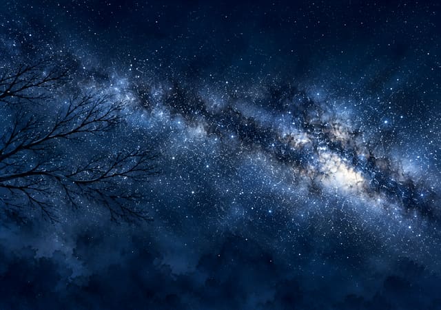 枯枝與滿天繁星，iPhone Duo 內螢幕桌布，圖上沒有文字