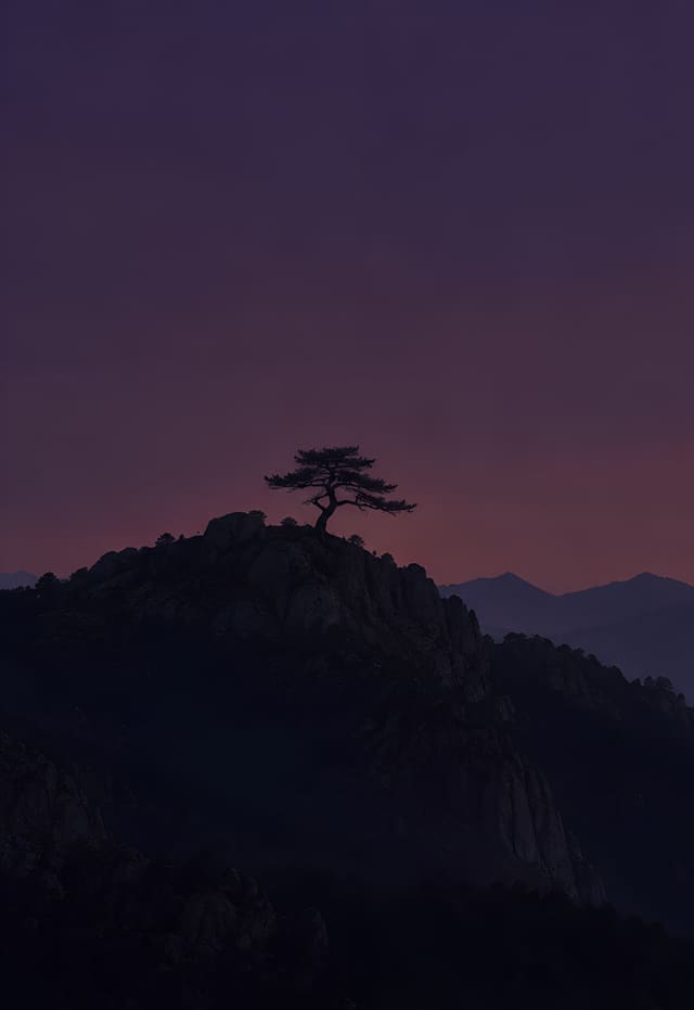 山頂松樹與琥珀色滿月，iPhone Duo 外螢幕桌布，圖上沒有文字