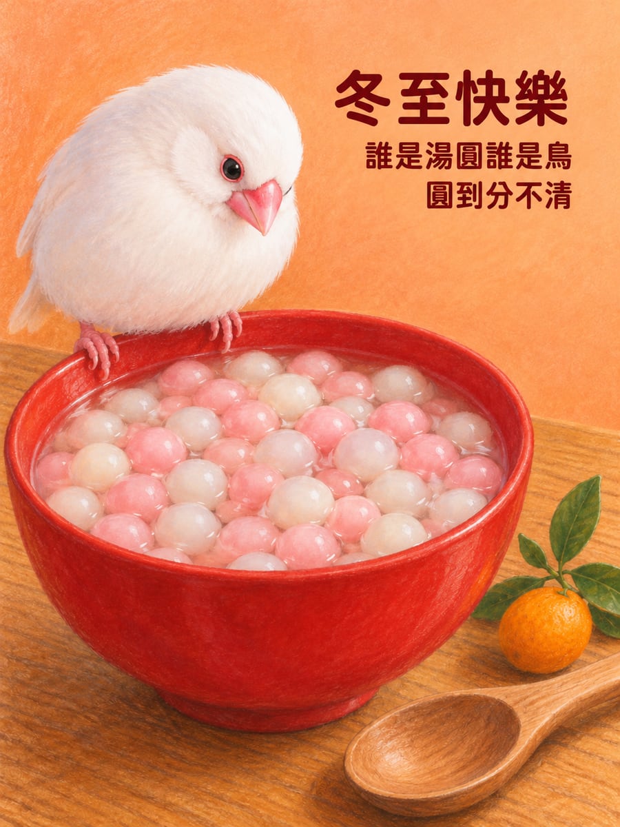 白文鳥站在紅碗邊像一顆湯圓。圖中文字：冬至快樂，誰是湯圓誰是鳥，圓到分不清