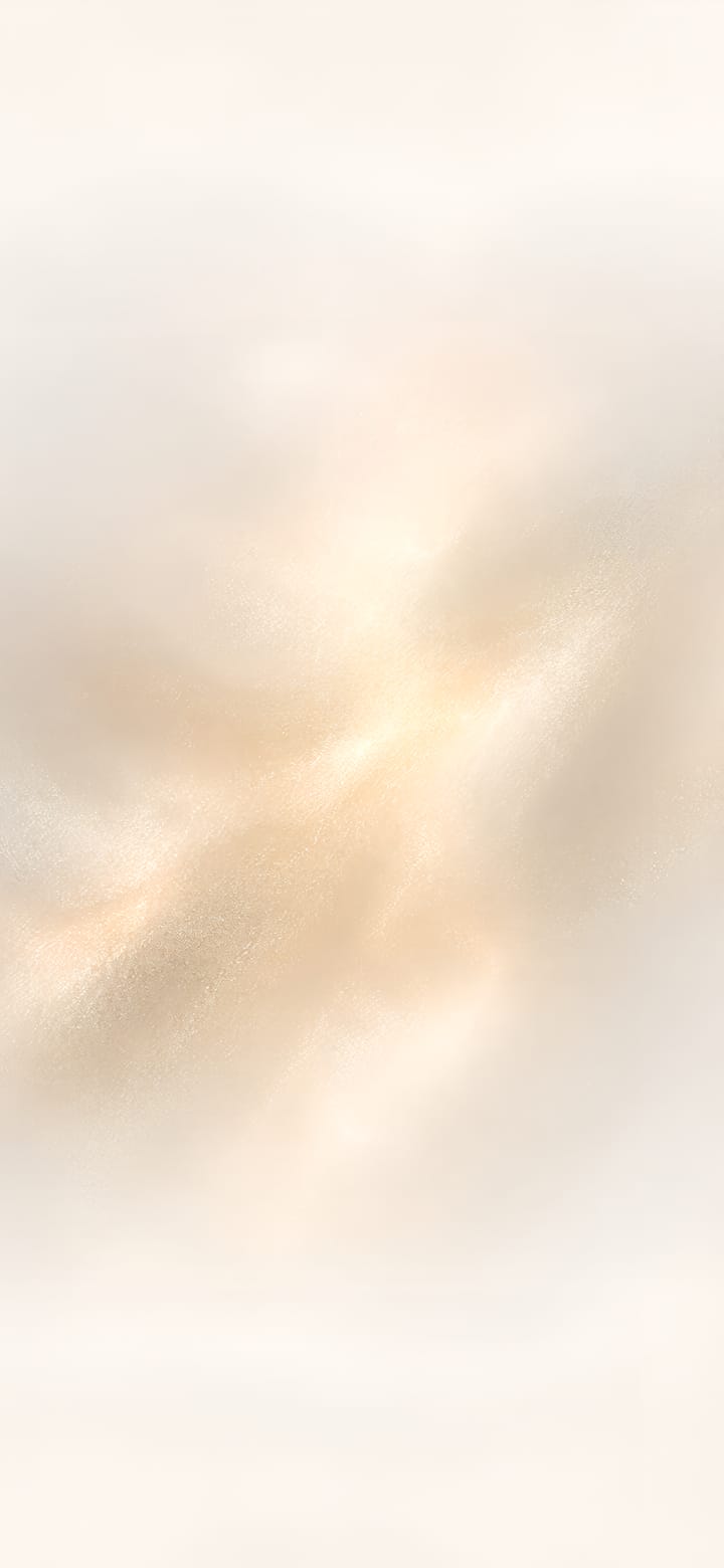 預覽示意