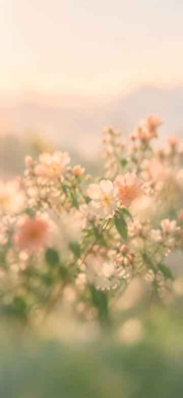 몽글몽글 흐릿한 봄꽃, 글자 없는 핸드폰 배경화면