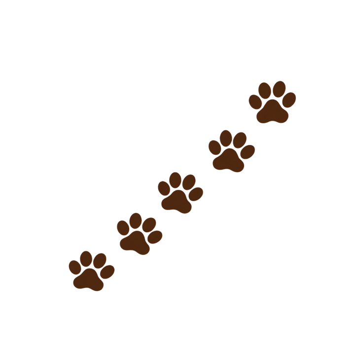 ななめに続く猫の足あとのイラスト（肉球・透過PNG）