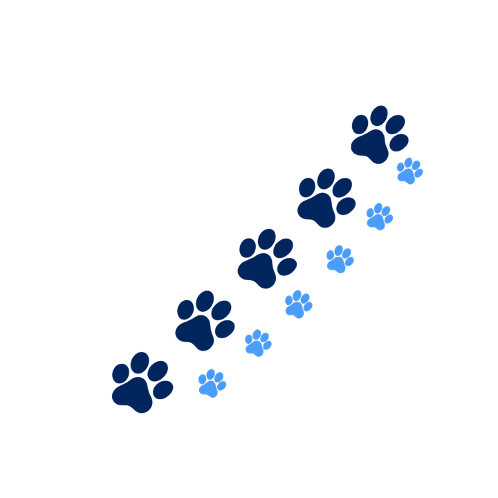 親子で並んで続く猫の足あとのイラスト（肉球・透過PNG）