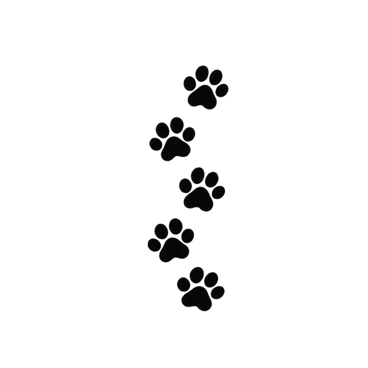 まっすぐ続く猫の黒い足あとのイラスト（肉球・透過PNG）