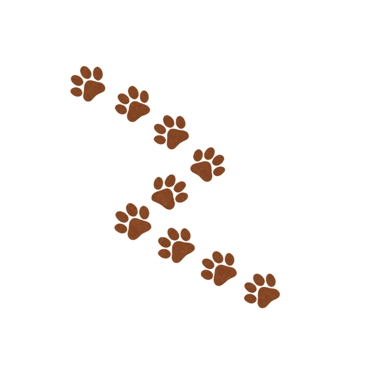 ジグザグに続く猫の足あとのイラスト（肉球・透過PNG）