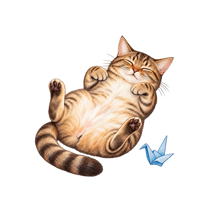 へそ天で眠るキジトラ猫のイラスト（リアル・透過PNG）