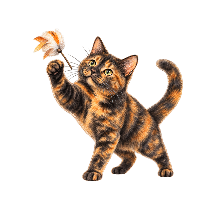 猫じゃらしにとびつくサビ猫のイラスト（リアル・透過PNG）