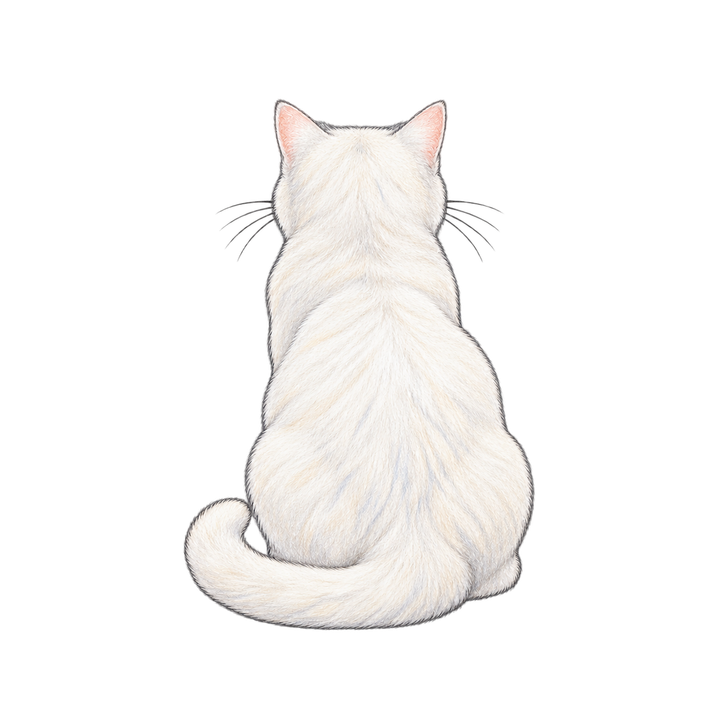 座る白猫の後ろ姿のイラスト（リアル・透過PNG）