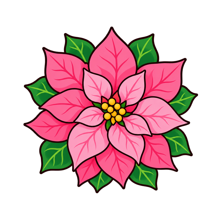 Flor de Pascua rosa PNG sin fondo