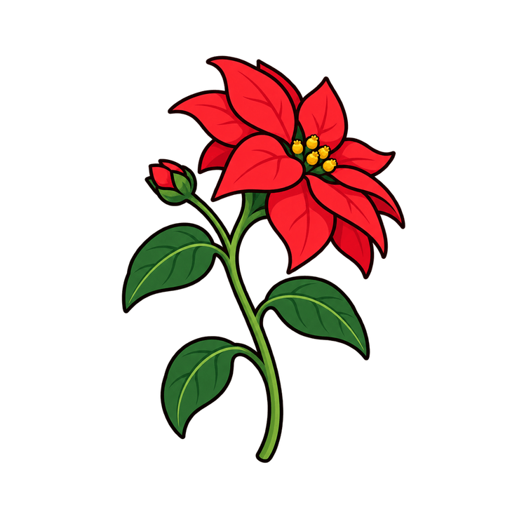 Flor de nochebuena con tallo y botón PNG sin fondo